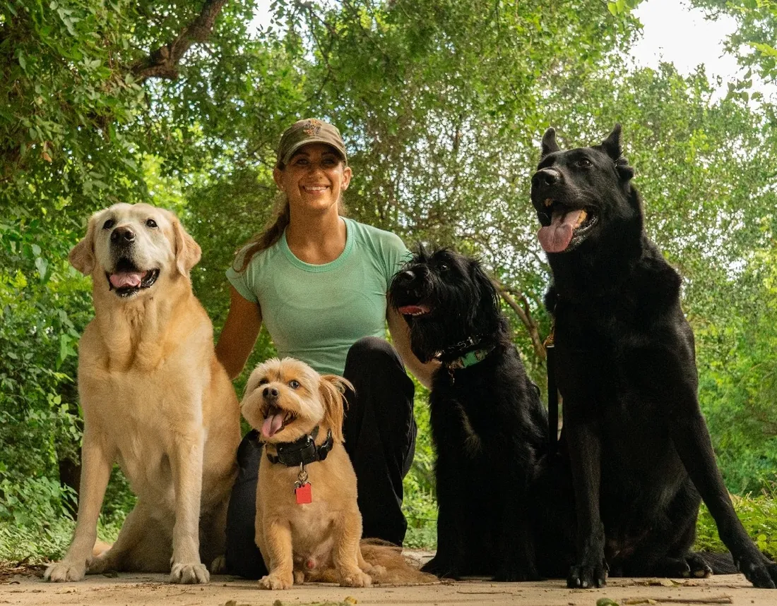 An All Around K9 Training trainer outdoors with four calm, trained dogs