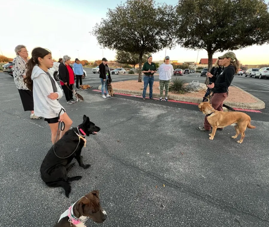 All Around K9 Training owners and their dogs out on a real-world training session in San Antonio